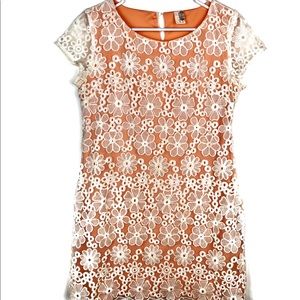 Francesca’s Birdcage label embroidered dress.